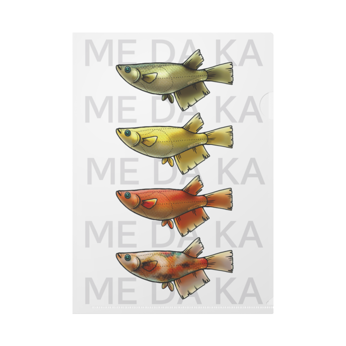 ME DA KA(赤)　ー　A4