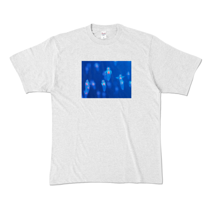 カラーTシャツ - XL - アッシュ (淡色)