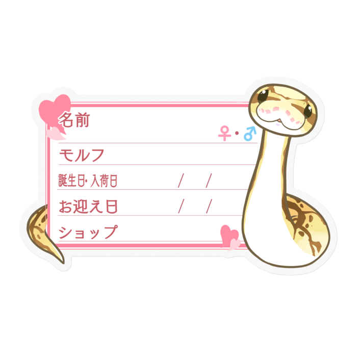 【🐍お名前ステッカー】ボールパイソン(クイーンビー) ‐ハート／ピンク