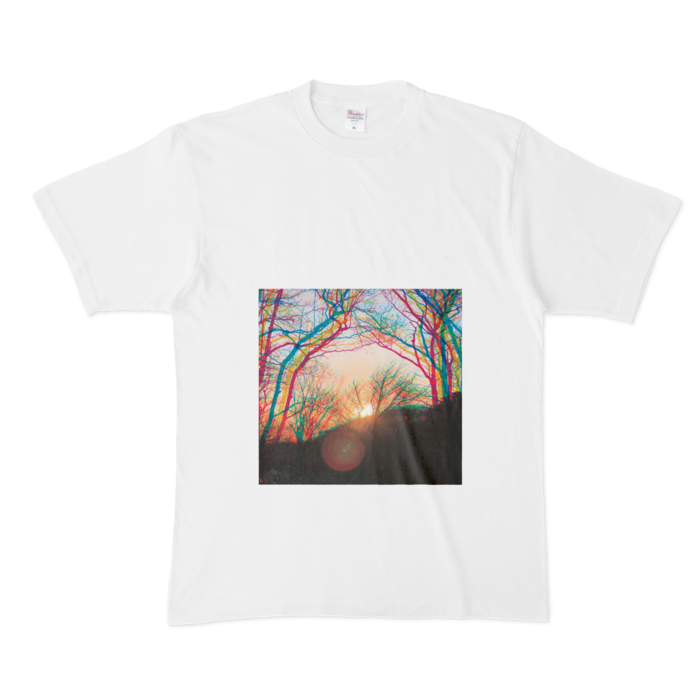 Tシャツ - XL - 白
