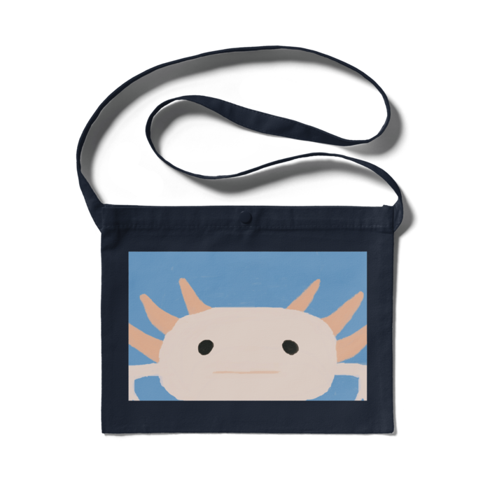 サコッシュ - 300 x 230 (mm)