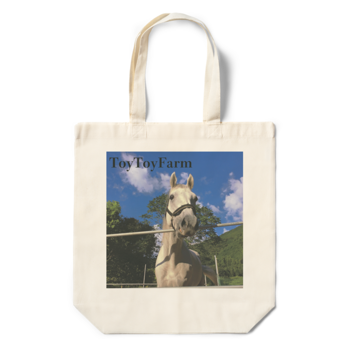 エコバッグ - 360×370×110(mm)(1)