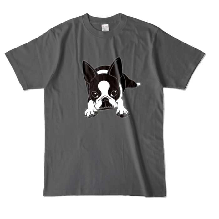 カラーTシャツ - L - チャコール (濃色)