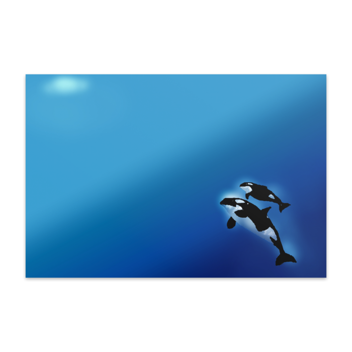 ポストカード(10枚セット) - ヴァンヌーボVGスノーホワイト195kg(1)