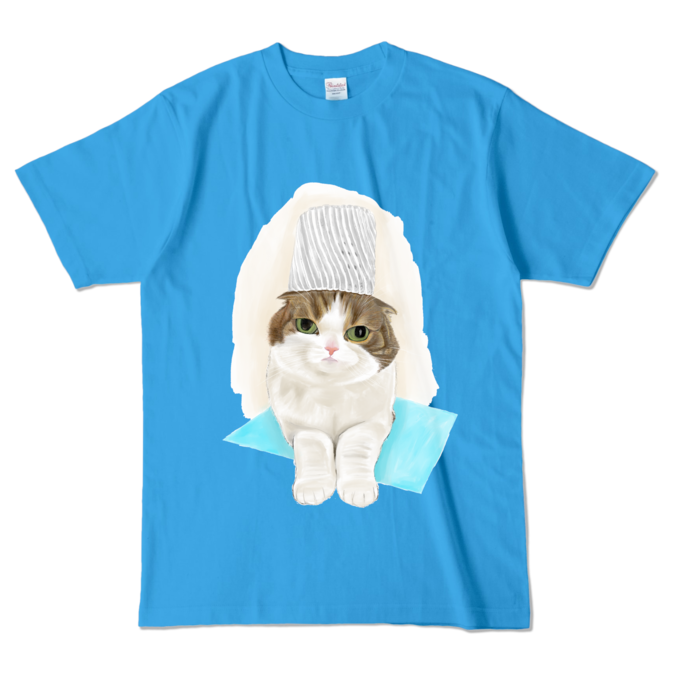カラーTシャツ - L - ターコイズ (濃色)