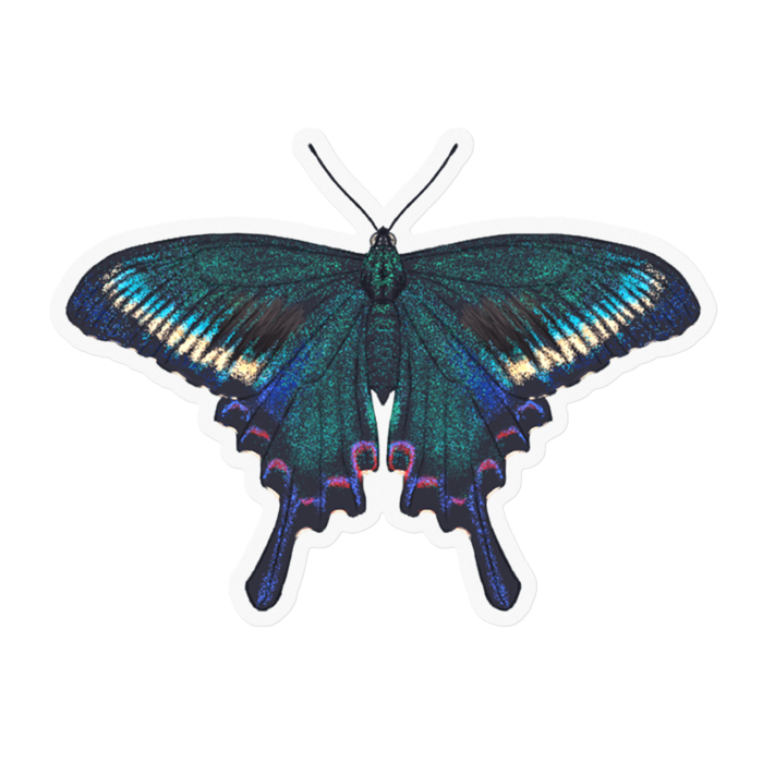 クリアステッカー - 100 x 100 (mm)