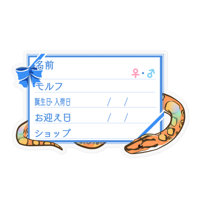 【🐍お名前ステッカー】ブラニジ(ノーマル) ‐リボン／ブルー
