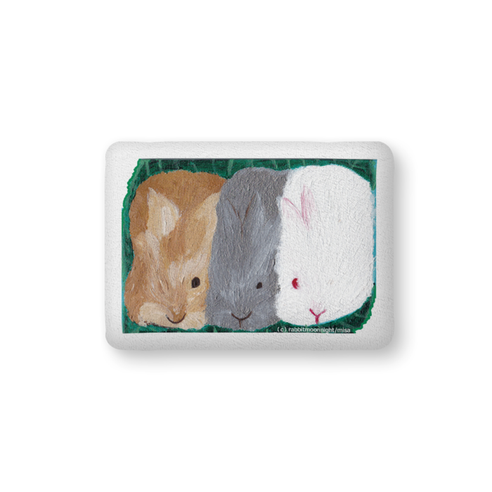 ふかふかクッション - 中(H36×W56cm) - 両面