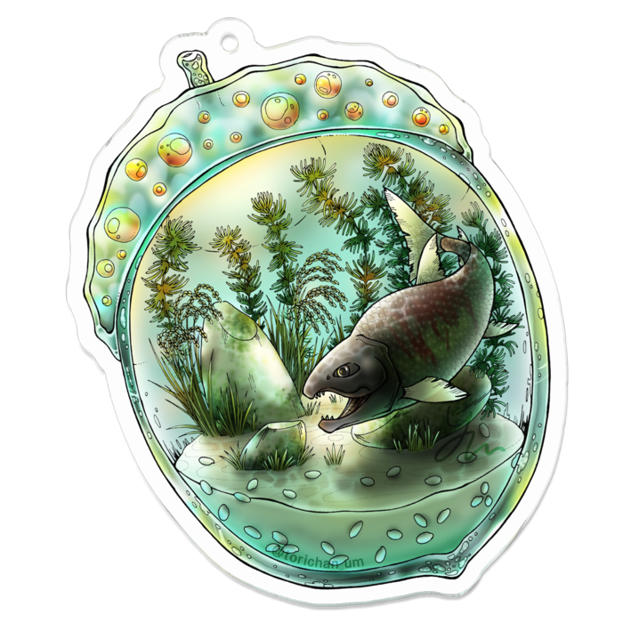 70 x 70㍉／コーティングあり