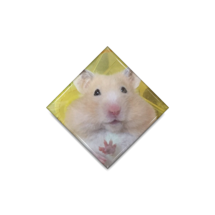 缶バッジ - ひし形40mm