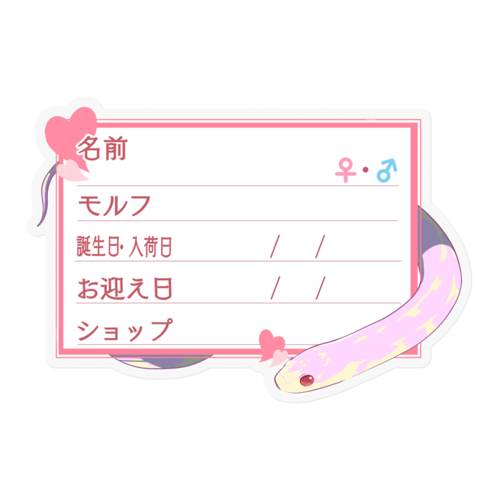 【🐍お名前ステッカー】カリキン(アルビノアベラント) ‐ハート/ピンク