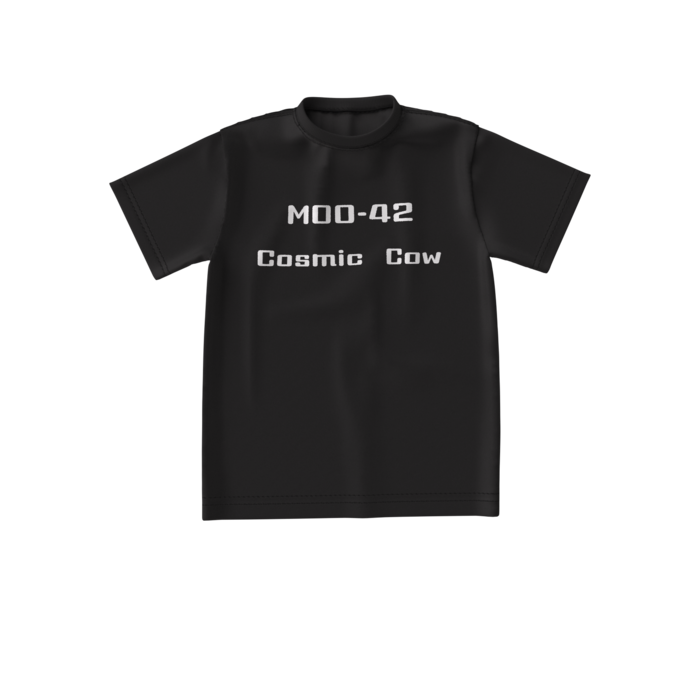 ビッグシルエットTシャツ - S - 両面(3)