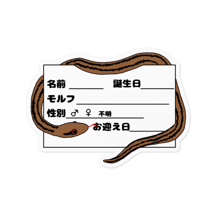 シマヘビ　ステッカー - 100 x 100 (mm)