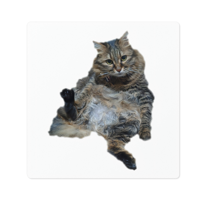 ステッカー - 100 x 100 (mm)