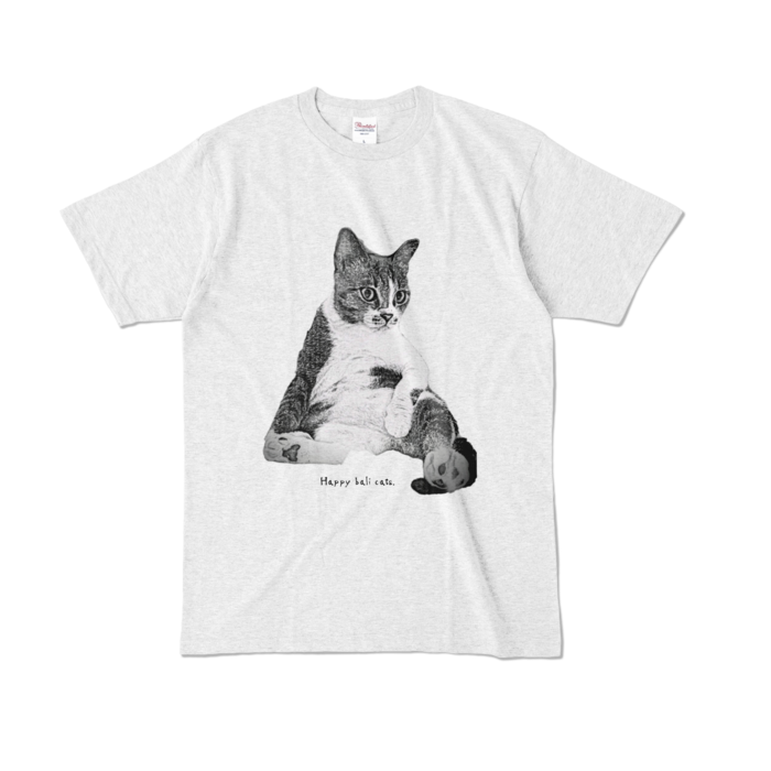 カラーTシャツ - L - アッシュ (淡色)