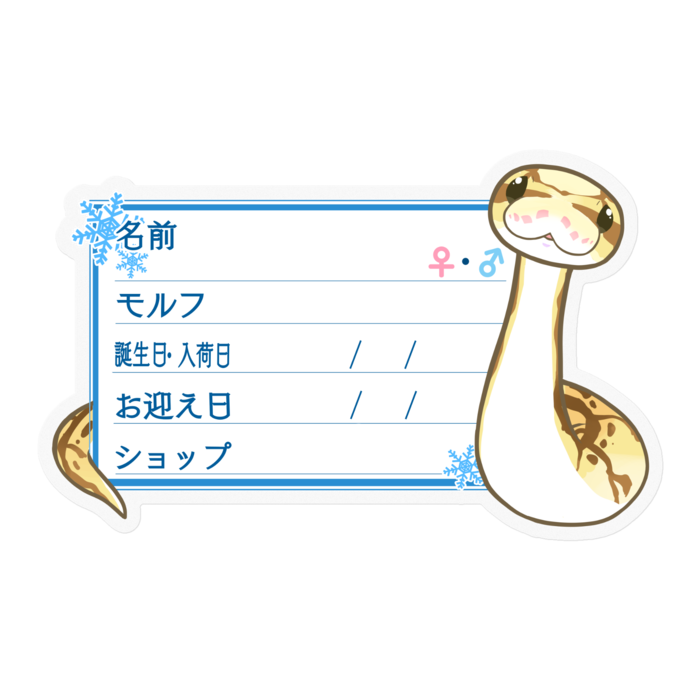 【🐍お名前ステッカー】ボールパイソン(クイーンビー) ‐雪