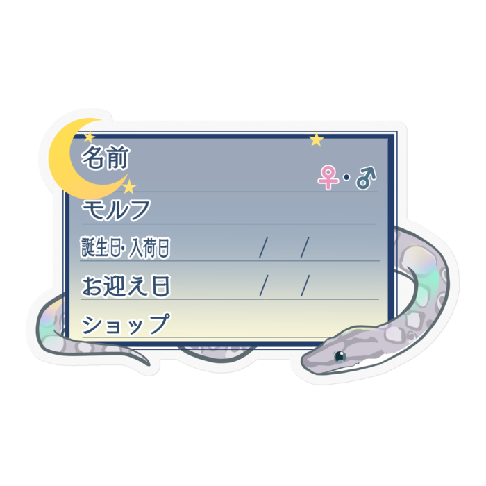 【🐍お名前ステッカー】コロニジ(アザン) ‐夜