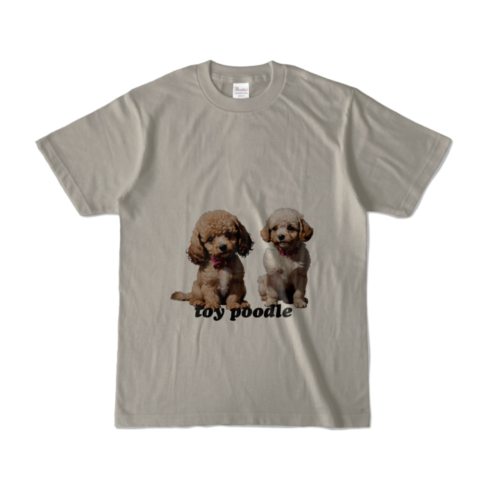 カラーTシャツ - S - シルバーグレー (淡色)