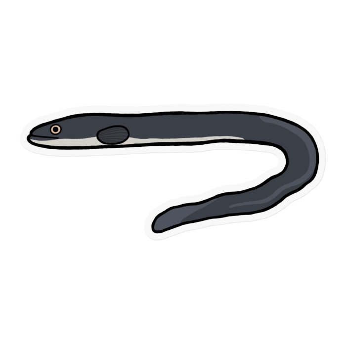 クリアステッカー - 100 x 100 (mm)