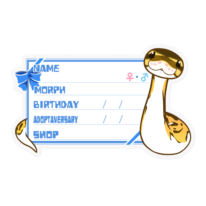 【🐍お名前ステッカー】ボールパイソン(パイボール) ‐リボン/ブルー(英語)