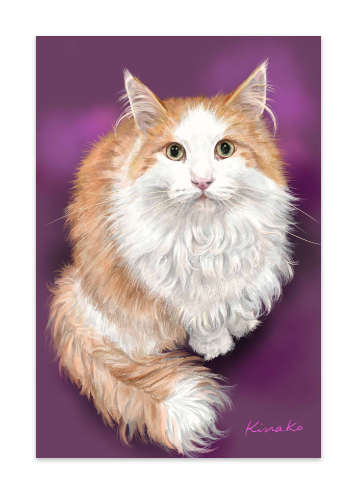 ポストカード(10セット) - ヴァンヌーボVGスノーホワイト195kg