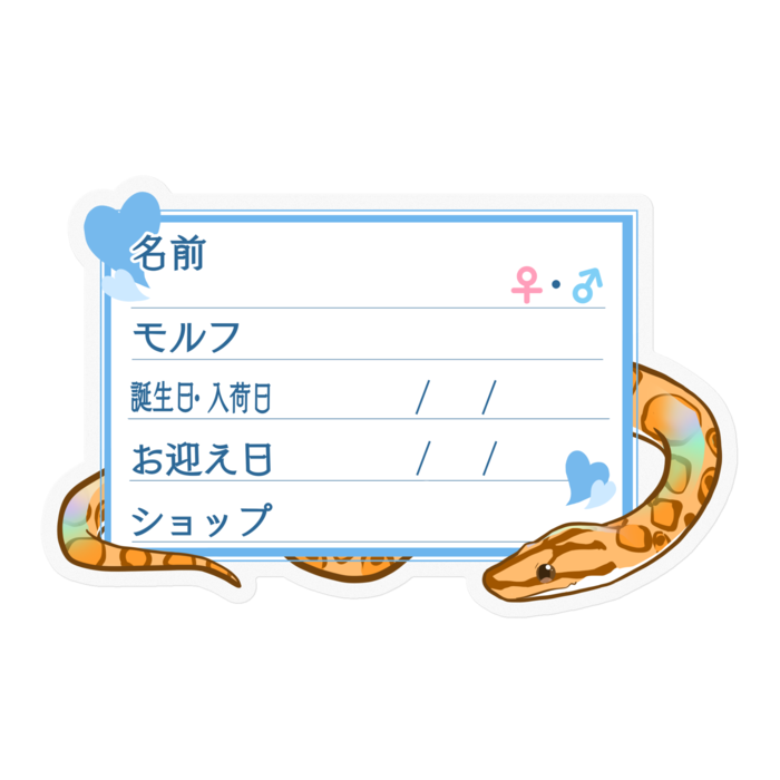 ใ๐ใๅๅในใใใซใผใใใฉใใธ(ใใคใ) โใใผใ๏ผใใซใผ
