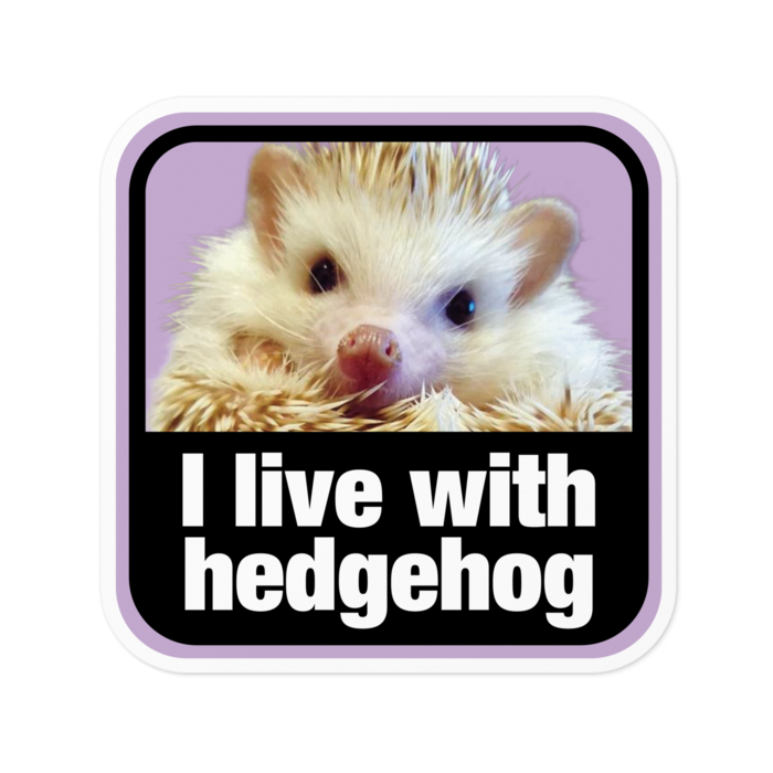 ステッカー - 100 x 100 (mm)