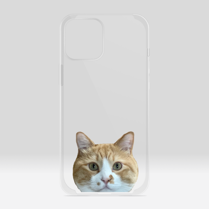 クリアiPhoneケース - iPhone12 ProMax