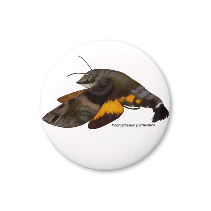 缶バッジ（バリュー） - 44mm