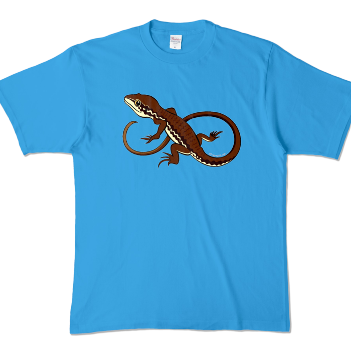 カラーTシャツ - XL - ターコイズ (濃色)