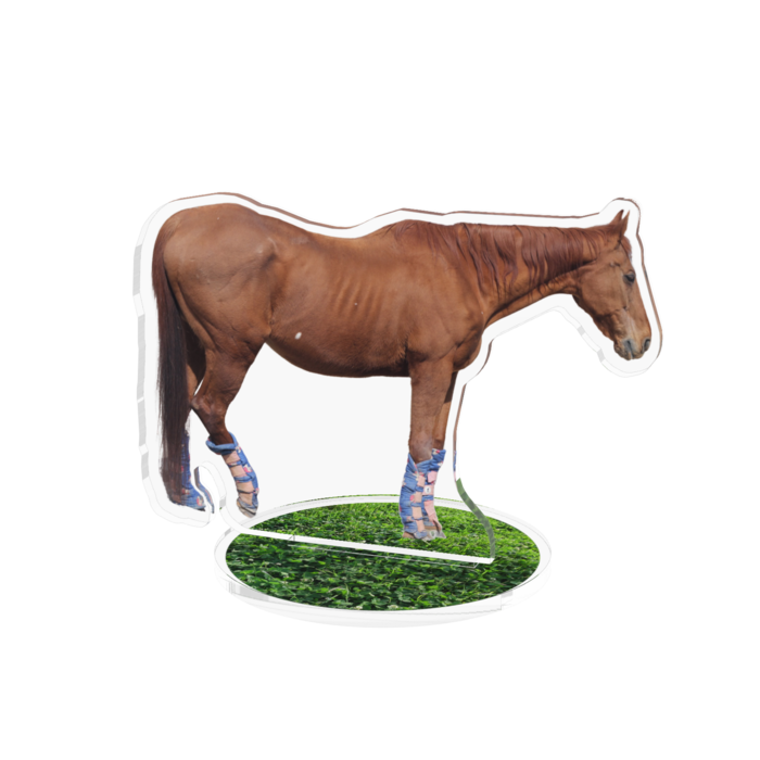 アクリルフィギュア - 100x100mm