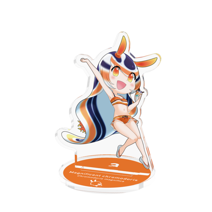 シライトウミウシ