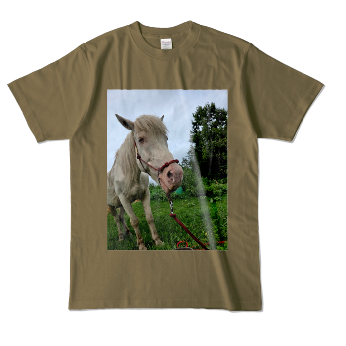 カラーTシャツ - L - オリーブ (濃色)