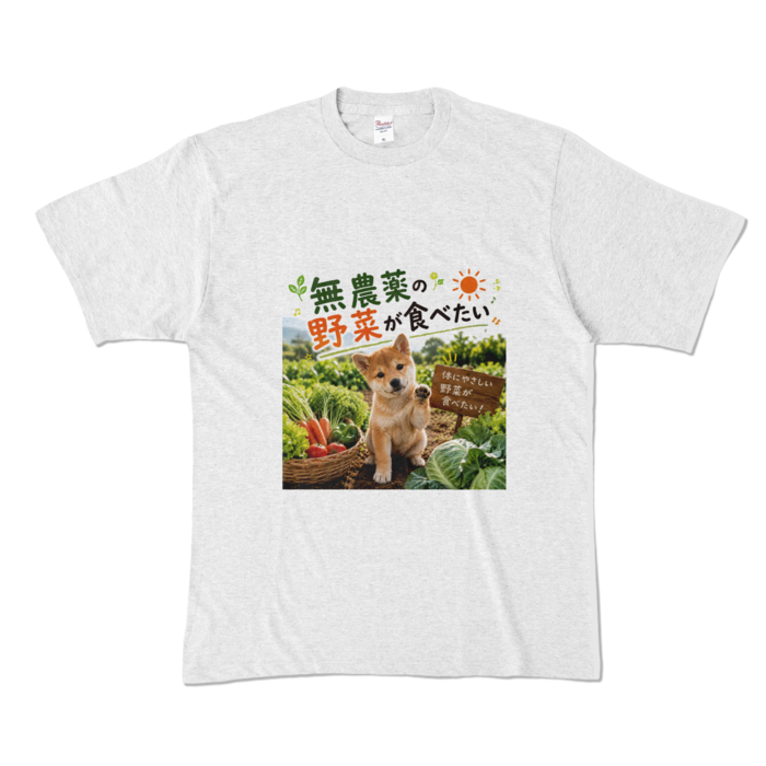 カラーTシャツ - XL - アッシュ （淡色）