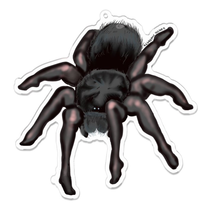 アクリルキーホルダー（コーティング） - 100 x 100 (mm)