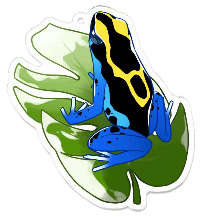 【ヤドクガエル🐸アクキー(Ｂ)】(アイゾメ) 7cm